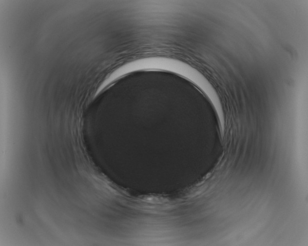 X0000111420223200907131209