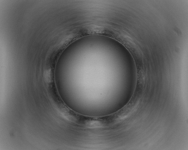 X0000111420224200907131209