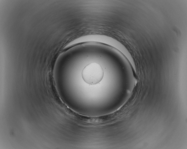 X0000111420225200907131209