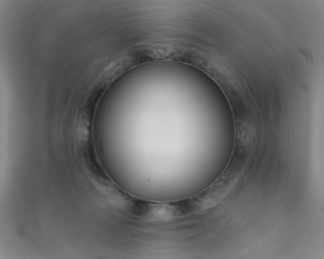 X0000111420226200907131209