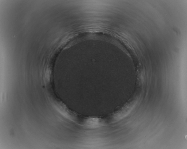 X0000111420227200907131209