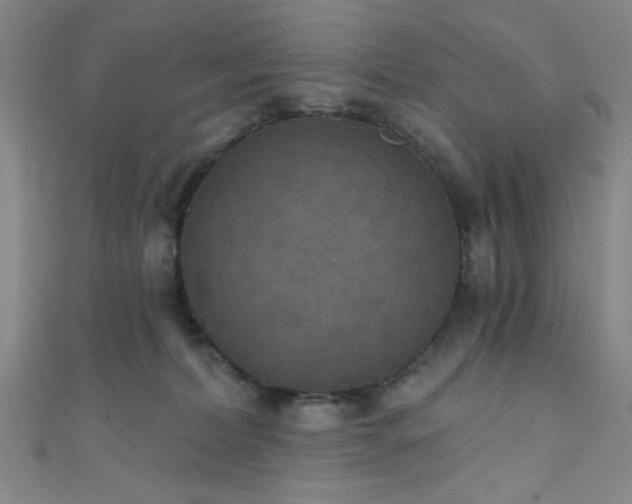 X0000111420228200907131209