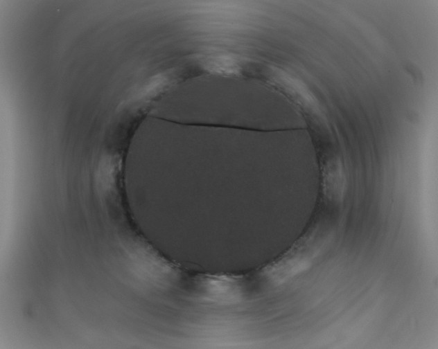 X0000111420229200907131209