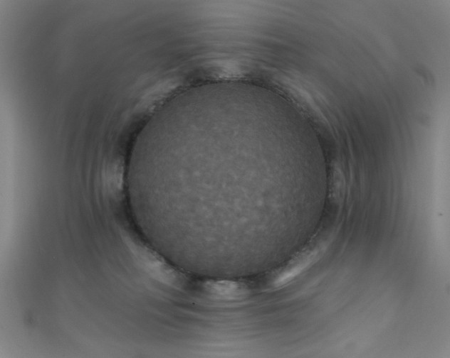 X0000111420230200907131209