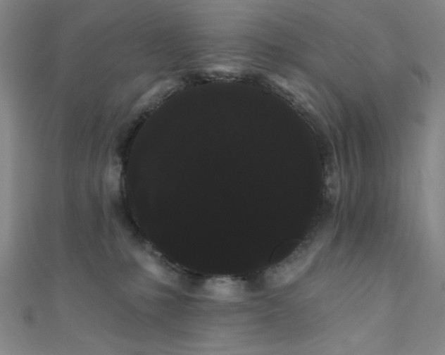 X0000111420231200907131209