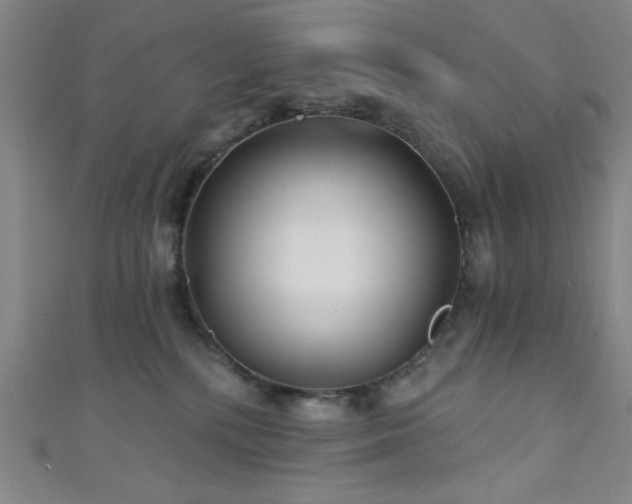 X0000111420232200907131209