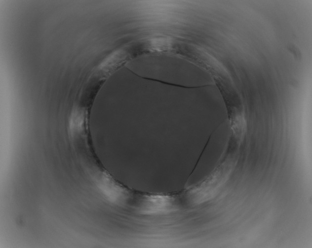 X0000111420233200907131209