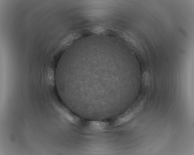 X0000111420234200907131209