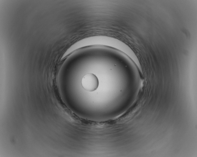 X0000111420235200907131209