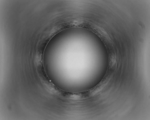 X0000111420236200907131209