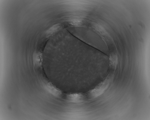 X0000111420237200907131209