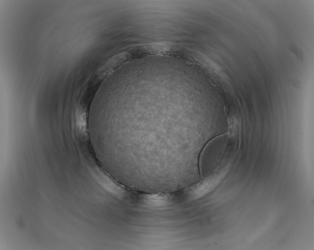 X0000111420238200907131209