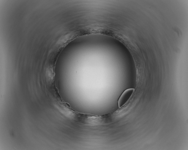 X0000111420240200907131209