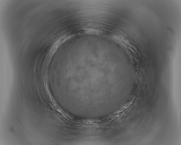 X0000111420241200907131208