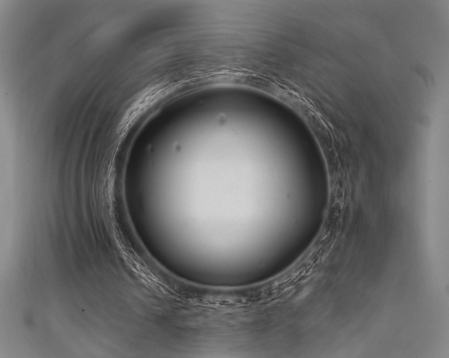 X0000111420242200907131208