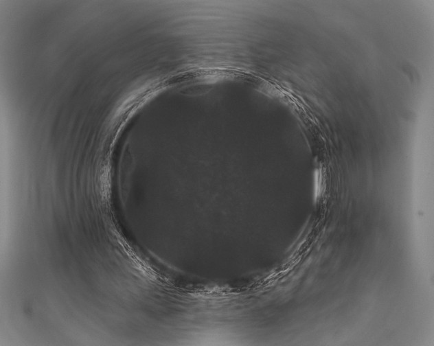 X0000111420243200907131208