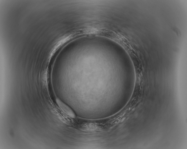 X0000111420244200907131208