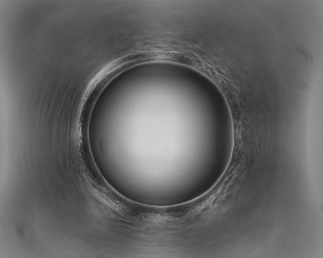 X0000111420246200907131208