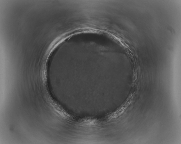 X0000111420247200907131208