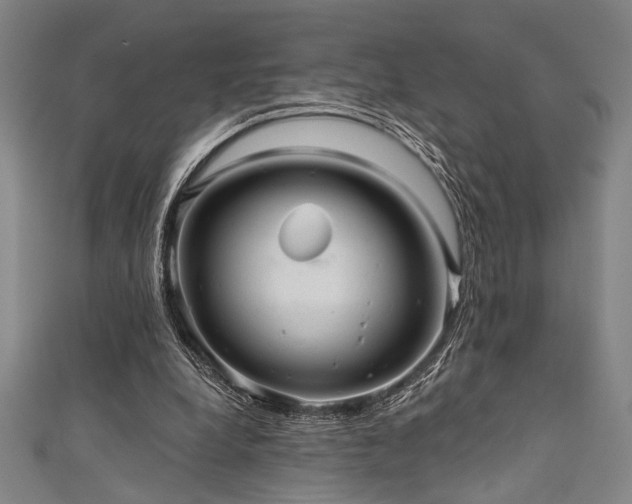 X0000111420248200907131208