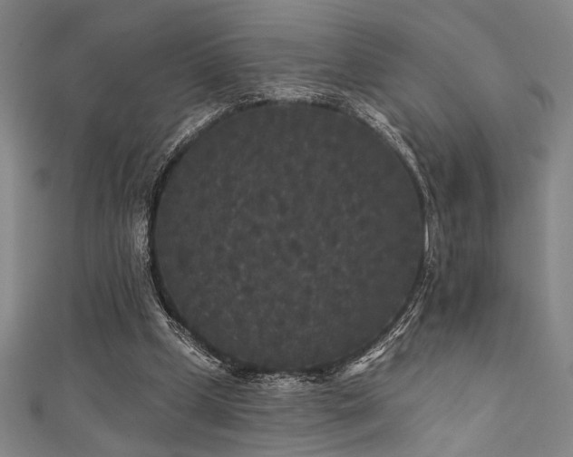 X0000111420249200907131208