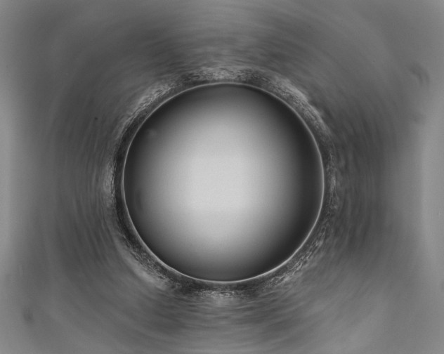 X0000111420250200907131208