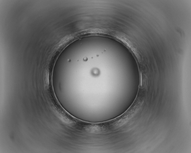 X0000111420253200907131208