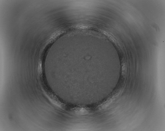 X0000111420254200907131208