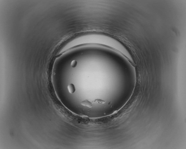 X0000111420256200907131208