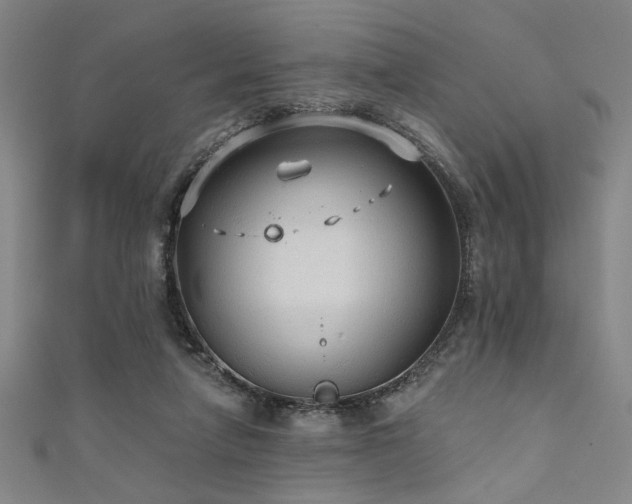 X0000111420258200907131208