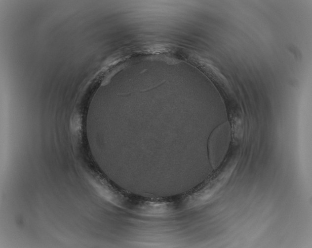 X0000111420260200907131208