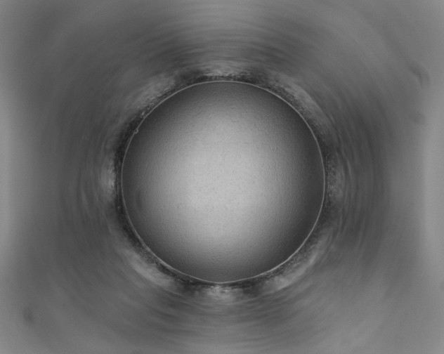 X0000111420261200907131208