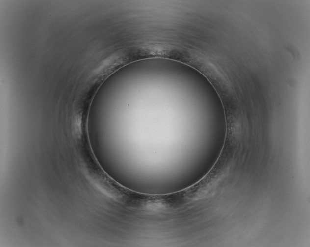 X0000111420262200907131208