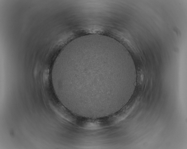 X0000111420263200907131208