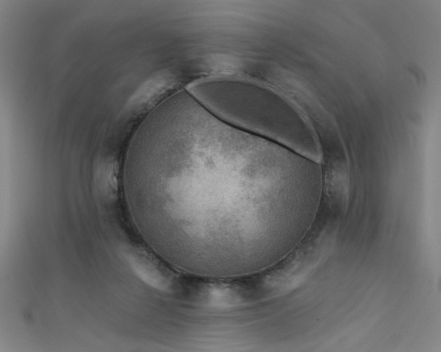 X0000111420264200907131208