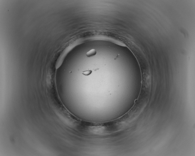 X0000111420266200907131208