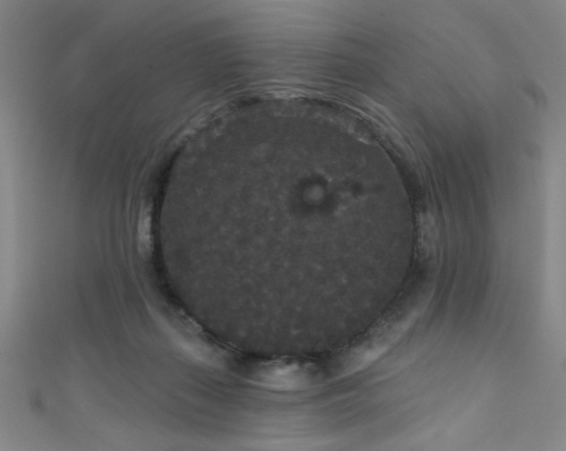 X0000111420267200907131208