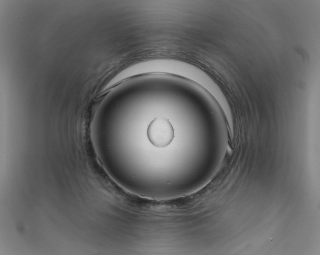 X0000111420268200907131208