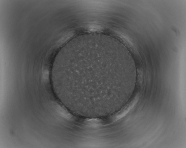 X0000111420269200907131208