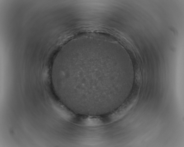 X0000111420270200907131208