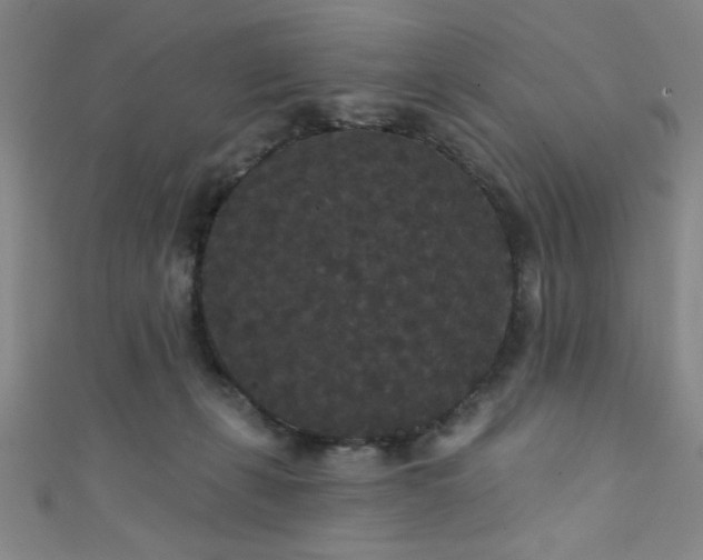 X0000111420271200907131208