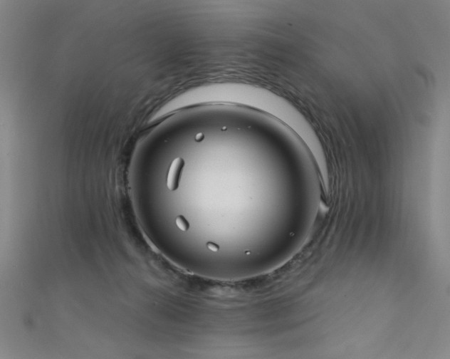 X0000111420272200907131208