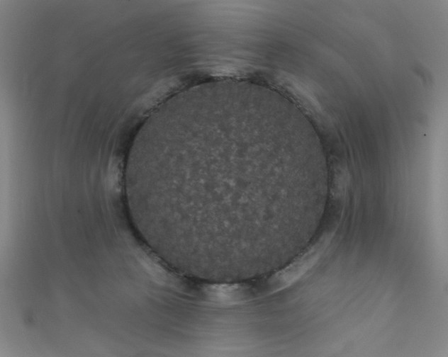 X0000111420273200907131208