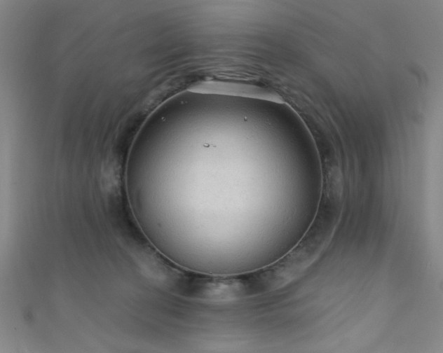 X0000111420274200907131208