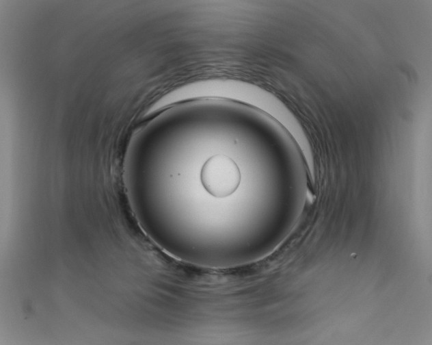 X0000111420276200907131208