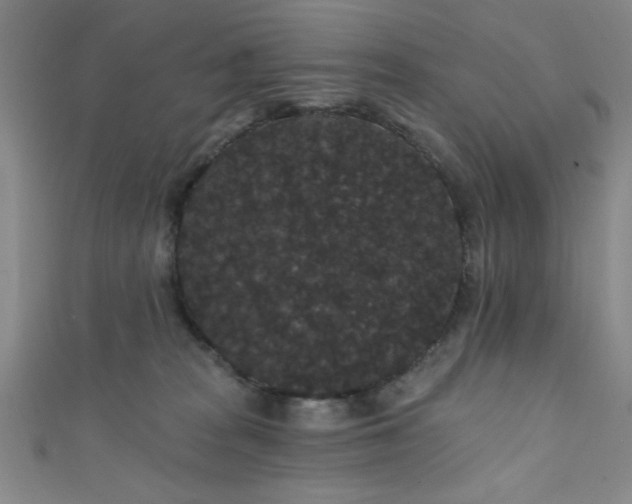 X0000111420277200907131208