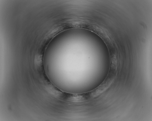 X0000111420278200907131208