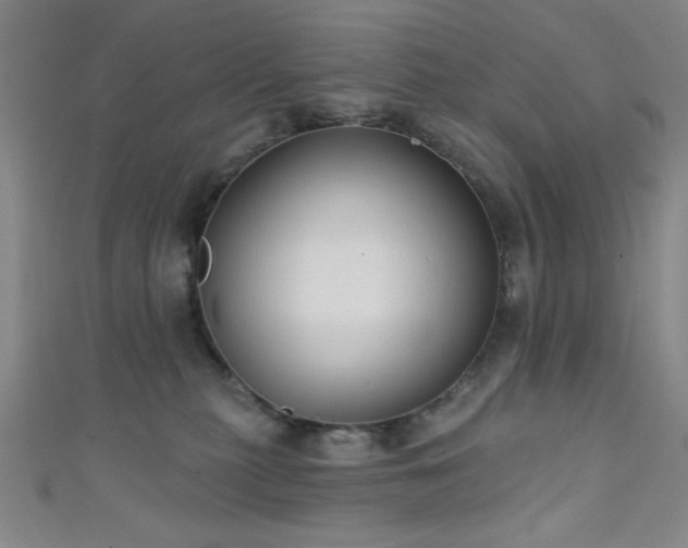 X0000111420279200907131208