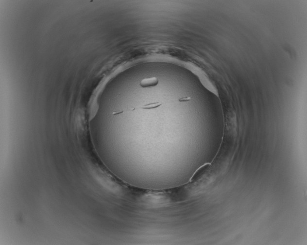 X0000111420280200907131208