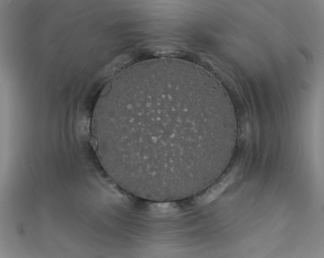 X0000111420281200907131208